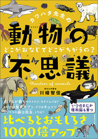 カワハタ先生の動物の不思議 どこがおなじでどこがちがうの？